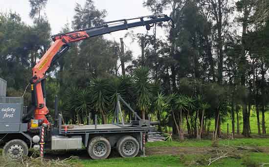 Crane-and-Grapple-Saw